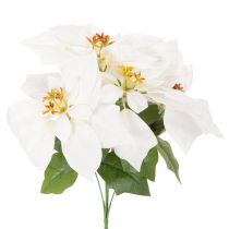 tételeket Mesterséges mikulásvirág, fehér, nagy virágú, dísznövény, 40cm