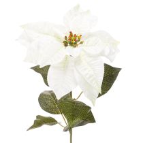 tételeket Műfehér mikulásvirág, nagy virágú ágdísz, 65 cm, 2 darab