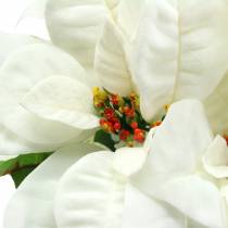Mikulásvirág csokor fehér 52cm