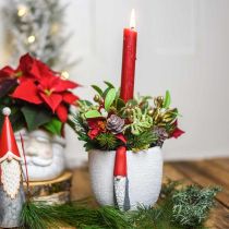 tételeket Karácsonyi edény gnómmal, adventi dekorációval, beton ültetvényes fehér, piros Ø8cm H12,5cm 2db