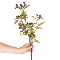 tételeket Mű galagonyaág piros bogyókkal, díszítéssel, 110cm