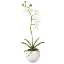 tételeket Fehér orchidea művirág cserépben Phalaenopsis M33cm