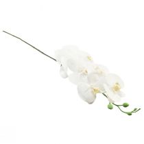 tételeket Fehér mesterséges orchidea Phalaenopsis Real Touch 85cm