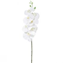 tételeket Fehér mesterséges orchidea Phalaenopsis Real Touch H83cm