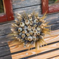 tételeket Búzafürt natúr díszbúza 1 fürt 150g