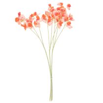 tételeket Műborsóág, romantikus dekoráció nappaliba vagy fürdőszobába, 68 cm, 3 darab