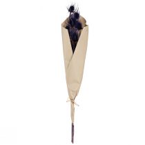 tételeket Vad teasel Szárított virágok Teasel Bogáncs Lila 55cm 10 fej