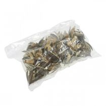 tételeket Vadliliom Természetes Dekoráció Egzotikus Szárított Virágok 6-8cm 50 db