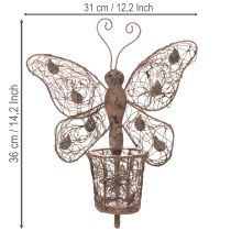 tételeket Fém lámpás, fali dekoráció, pillangó, rozsdabarna felület, 36,5 cm