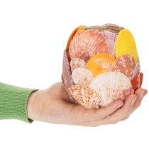tételeket Tengerészeti mécsestartó, lámpás, igazi kagylókból, fürdőszobai dekoráció, ünnepi hangulat, 12 cm