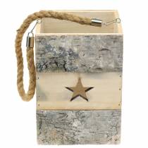 tételeket Nyírfa lámpa fogantyúval 14,5cm x 14,5cm H20cm