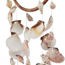 tételeket Szélcsengő kagylóval dekoratív gyűrű természetes fa Ø20cm H66cm