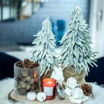 Téli fenyő cserépben, karácsonyi dekoráció, fenyő hóval H45cm