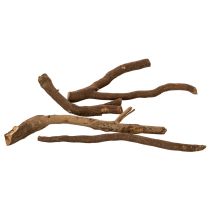 tételeket Dekoratív faágak és alanytörzsek, természetesen szárítva, 18 cm, 500 g