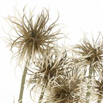 tételeket Xanthium művirág őszi dekoráció 6 virágos krém, barna 80cm 3db