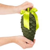 tételeket Műfenyőtoboz medálok ajándék szalaggal és masnival, 23 cm, 3 darab