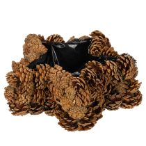 tételeket Fenyőtoboz virágcserép, csillag alakú, 30 cm