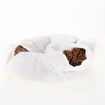 tételeket Ovális fenyőtoboz virágcserép, 30 cm