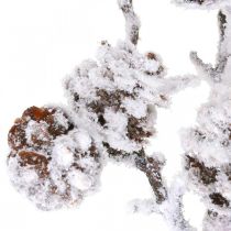 Karácsonyi ág deco ág kúp ág havazott 72cm