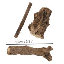 tételeket Elbűvölő, dekoratív fa gyökerek otthonába