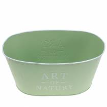 tételeket Virágtál ovális cink mentazöld 27×18cm H12,5cm