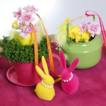 tételeket Ültetőcsésze csészealjjal kreatív kertekhez, 11 cm, 6 darab