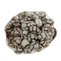 tételeket Ciprustobozok 3cm Fehérre meszelt 500g