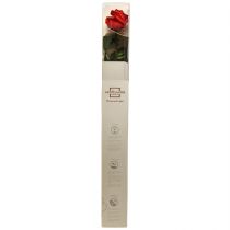 tételeket Infinity Rose levelekkel tartósított Amorosa Red L54cm