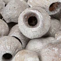 tételeket Bellgums fehérre meszelt 2cm - 5cm 500g