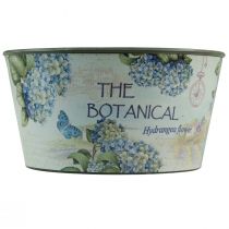 tételeket Ültető hortenzia virágtál kerek műanyag Ø21cm H11cm