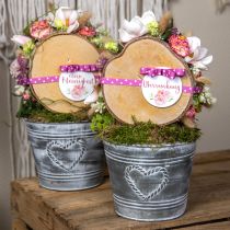 tételeket Shabby Chic fém virágcserép szív alakú mintával, Ø22cm, M17.5cm