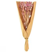 tételeket Curry Herb Immortelle Artificial Pink L28cm 12 db 1 csokor