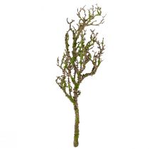 tételeket Díszág moha mesterséges őszi dekorációval szürke zöld L78cm