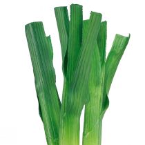 tételeket Díszzöldség újhagyma zöld fehér Ø1cm L28cm 3 db