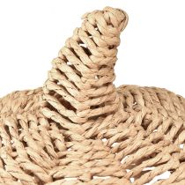 tételeket Dekoratív tök raffia natúr rusztikus őszi dekoráció Ø25cm M25cm
