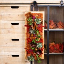 tételeket Dekoratív moha narancssárga igazi kézműves moha szárítva, festve 500g