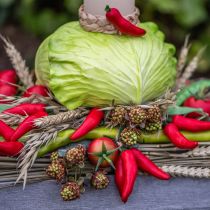 tételeket Dekoratív spárga zöld mesterséges zöldség L22cm Ø1,5cm 3db