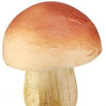 tételeket Díszgomba pálcikára kicsi és nagy barna H10/11,5cm 8 db