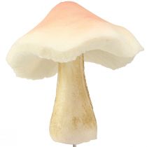 tételeket Díszgomba barna díszgombák ragasztására ősz 3,5/5,5cm 16 db