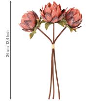 tételeket Dekoratív Protea művirág piros-narancs 34cm 3db