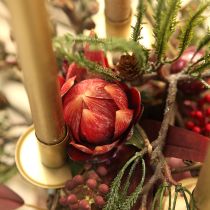 tételeket Dekoratív Protea művirág piros-narancs 34cm 3db