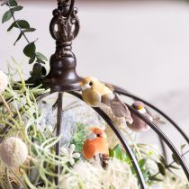 tételeket Dekoratív madarak, mesterséges lakberendezési tárgyak, tavaszi alkalmakra, színes, valódi tollazattal, 5 cm, 18 darab