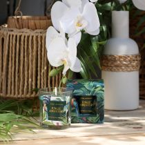 tételeket Illatos gyertya üvegedényben Uborka-Eukaliptusz gyertya Zöld Ø7cm