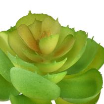 tételeket Echeveria Artificial Succulents Green Ø7cm 6 db