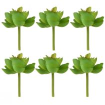 tételeket Echeveria Artificial Succulents Green Ø7cm 6 db