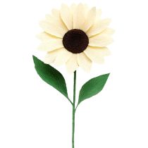 tételeket Virágkötő krepp papír pezsgőszínű 50x250cm