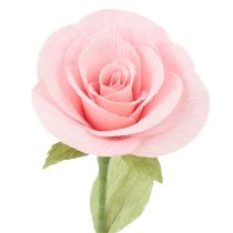 tételeket Virágkötő krepp papír, fűzöld, virágkötő krepp 50×250cm 5db