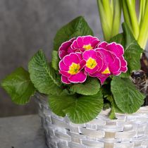 tételeket Szőtt kosár, mint stílusos virágdekoráció a nappaliba. Húsvéti kosár, 23 cm, 6 darabos.