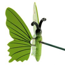 tételeket Pillangó a boton 17cm zöld