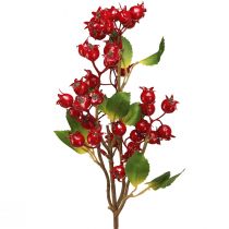 tételeket Csipkebogyó díszítő ág piros gyümölcsökkel L60cm 2 db